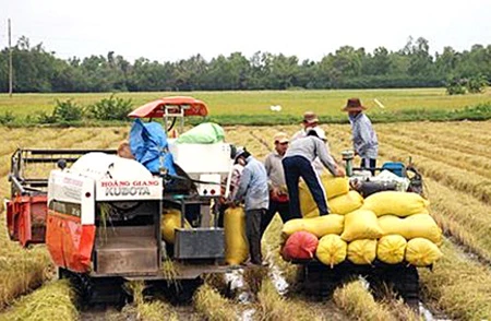 Vietnam agriculture to benefit from free trade
