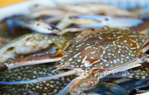 Kien Giang moves to protect blue crab resources