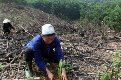 Ethnic minorities join hands to address climate change