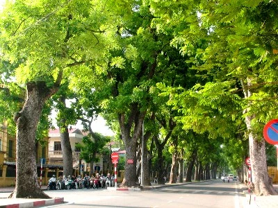 Hanoi works towards green city