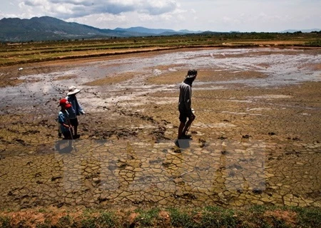 Mekong delta faces water shortage, saline intrusion