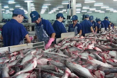 Tra fish export to China enjoys strong growth 