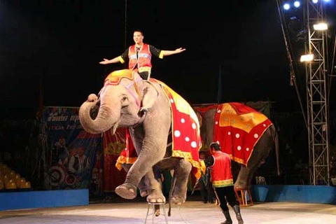 200 performers to compete in Vietnam-Laos-Cambodia circus contest