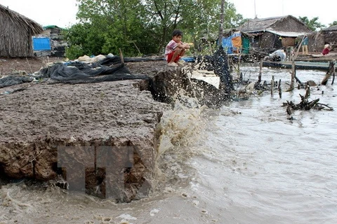 Thua Thien-Hue sees serious seawater encroachment