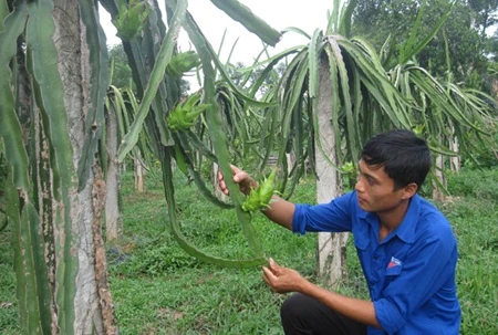 Man finds success in farming after failures