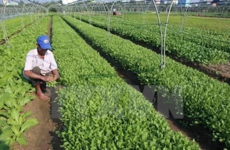 Quang Ninh invites investment in agriculture 