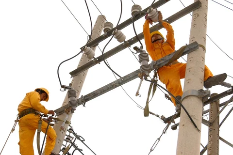 EVN HCMC supplies 88 billion kWh to national grid in five years