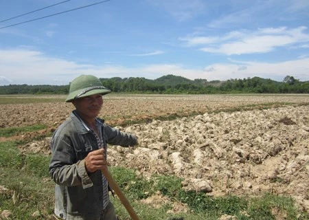 Drought hits Vietnam’s southern localities
