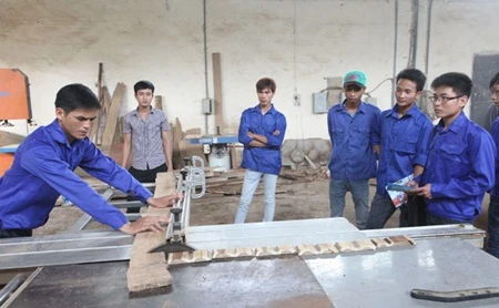 Vocational training sector to restructure school network