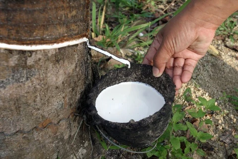 Thailand buys rubber from growers amid price slump