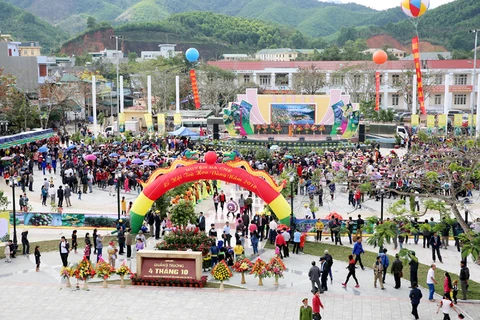 Tra hoa vang festival opens in Quang Ninh 