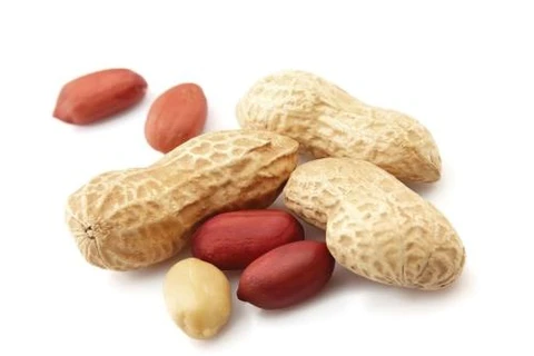 Vietnam lifts import restrictions on peanuts from India 