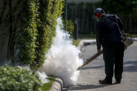 Thailand calms public fear over Zika virus 