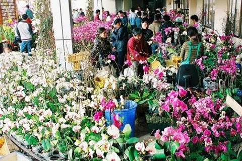 Hanoi’s Quang An flower market busier ahead of Tet 