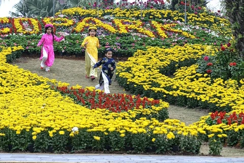 Mekong flower streets in bloom