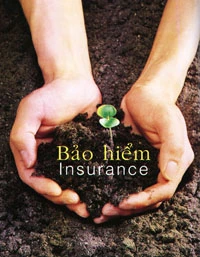 Vietnam’s insurance industry looks to further expansion 
