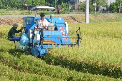 Ha Nam: additional 15 communes declared new rural areas 