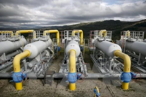 Japanese company hopes to build gas storage in Ha Nam province 