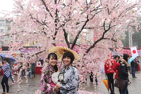 Hoa Binh Park to have 200 Japanese cherry trees 