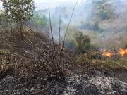 Forest fires rage for hours in Binh Duong, Dien Bien provinces