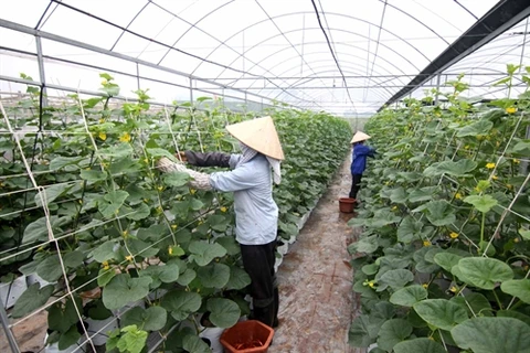 Hi-tech agricultural enterprises given loans