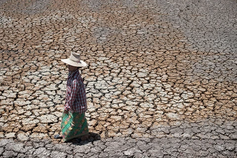 Thailand: drought might cut 0.8 pct of GDP