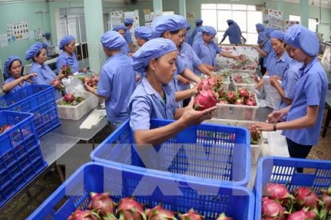 Cambodia: 600 mln USD spent for pork, veggie imports per year