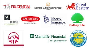 Vietnamese insurance firms target niche market