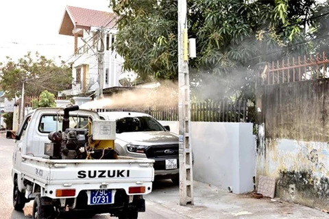 Khanh Hoa takes drastic measures to curb dengue fever, Zika virus