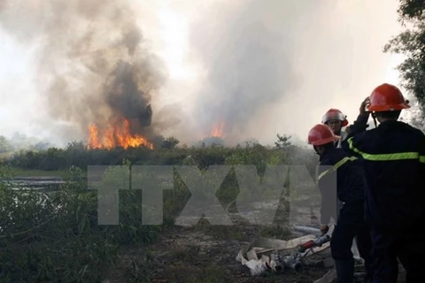Dong Thap on full alert for forest fires