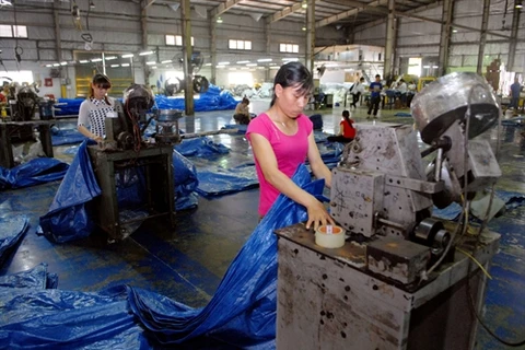 Vietnam’s plastic sector eyes alternatives