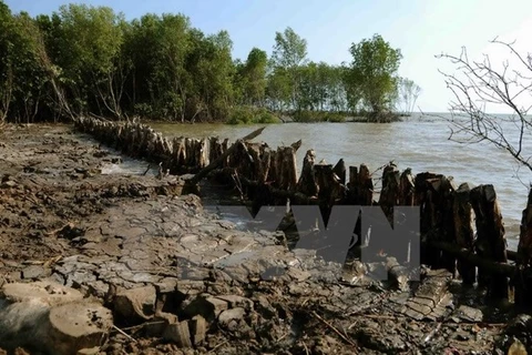 Hau Giang states seawater intrusion emergency for two more localities