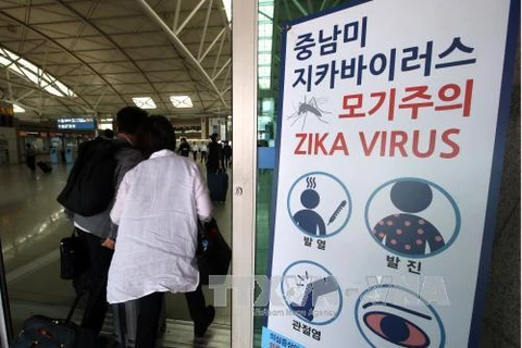 HCM City: No Zika virus found after city-linked RoK case reported