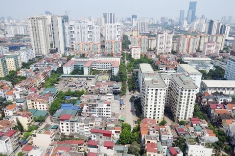 Domestic real estate to see ’hot’ development