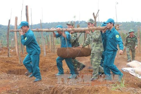 Two massive bombs defused in Dak Nong province