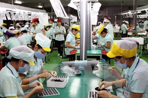 ILO pledges to support Vietnam in TPP