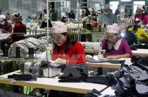 Vietnam’s workforce to reach over 54.4 million in Q2