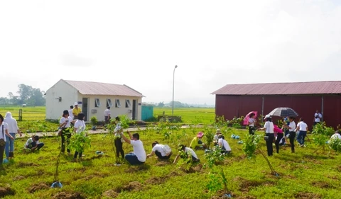 Activities staged for a greener Vietnam