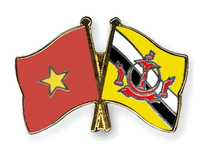 Vietnam, Brunei have expanded defence ties