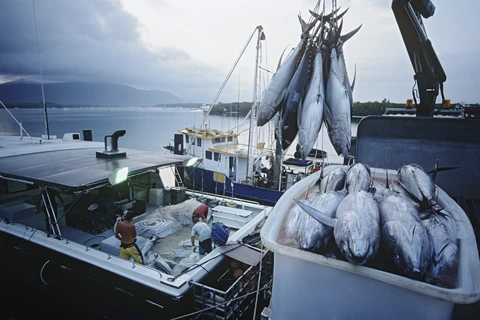 Indonesia bans foreign investment in fishing business