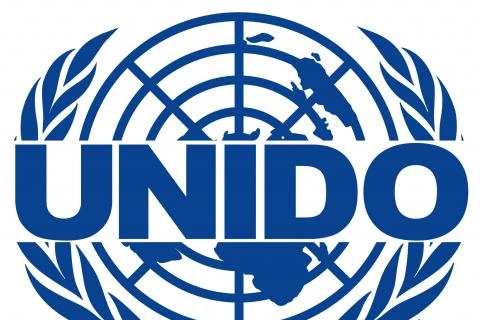 UNIDO official honoured for contributions to Vietnam’s agriculture