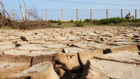 Mekong Delta drought losses total 215 million USD