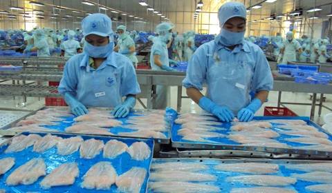 Tra fish exports reach 616 million USD in first six months