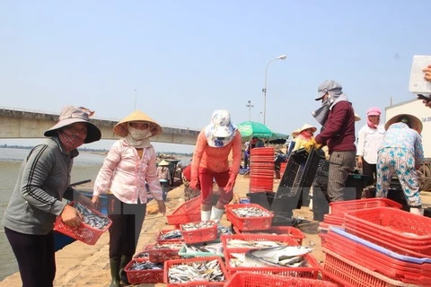 Ha Tinh offers temporary support to residents hit by mass fish deaths