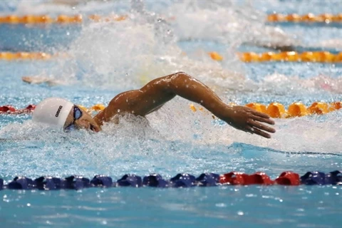 Vietnamese swimmers claim silvers in Hungarian tournament 