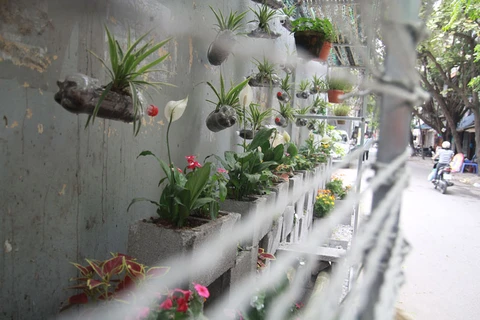 Gardens replace dumping areas in Hanoi