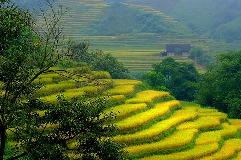 Lao Cai’s new destinations increasingly attractive to tourists