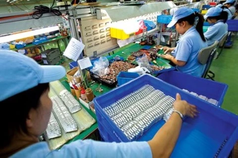 Binh Phuoc attracts over 25 million USD in foreign investment