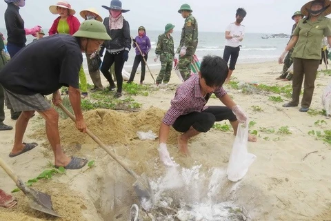 Rice aid comes to affected fishermen in Quang Tri 