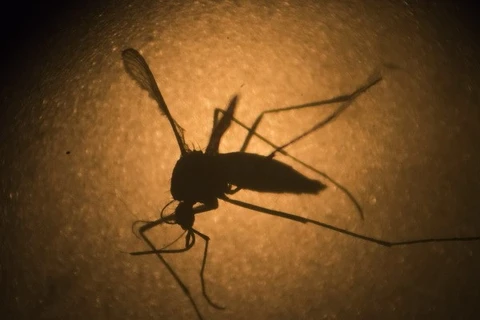 Health ministry on alert after third Zika infection confirmed